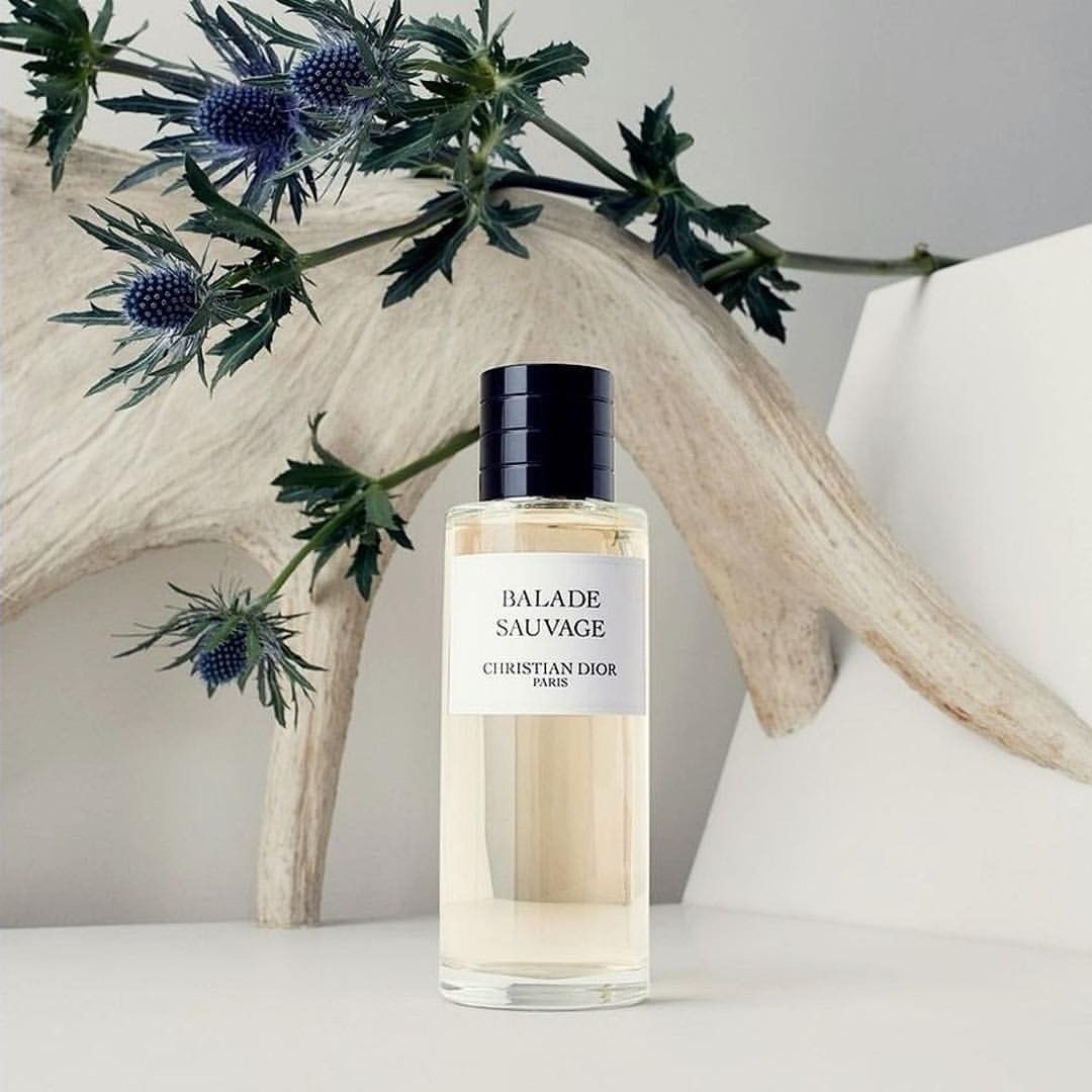 CHRISTIAN DIOR BALADE SAUVAGE