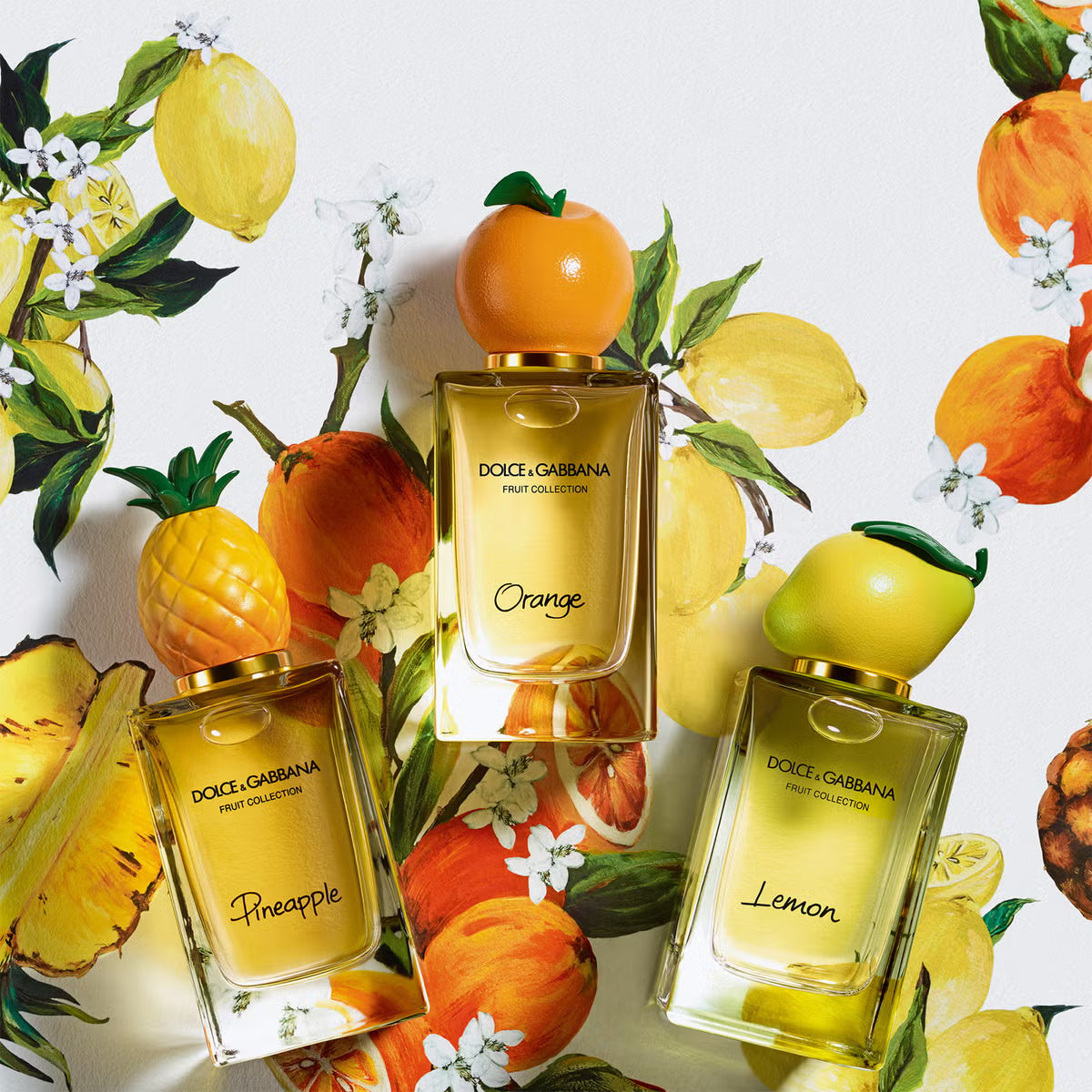 DOLCE&GABBANA PINEAPPLE