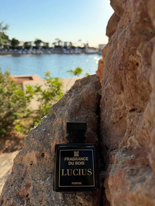 FRAGRANCE DU BOIS LUCIUS
