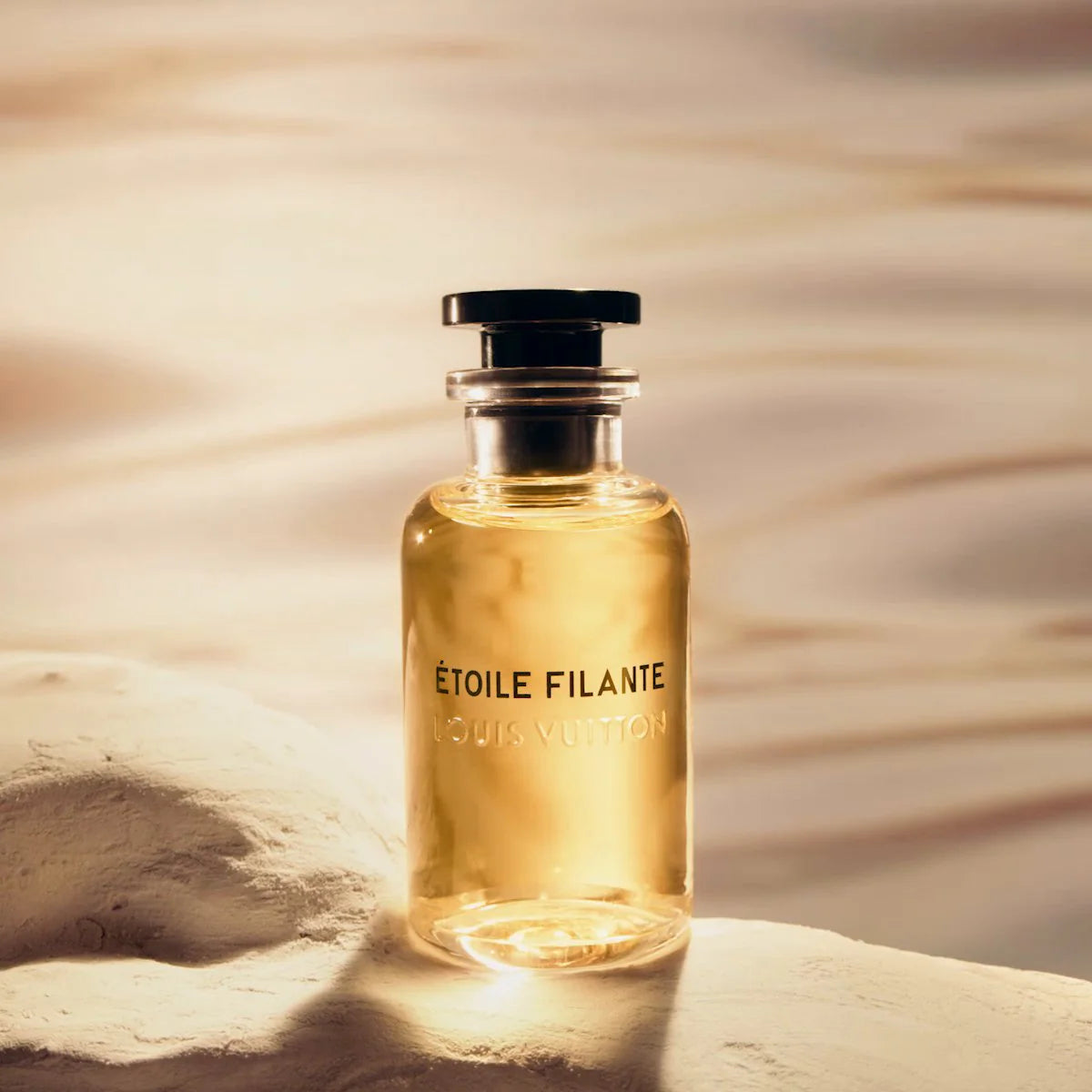 LOUIS VUITTON ÉTOILE FILANTE