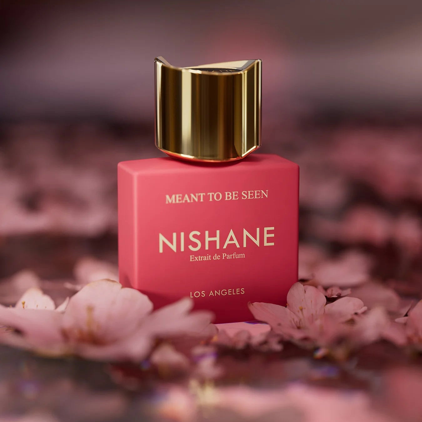 NISHANE MEANT TO BE SEEN