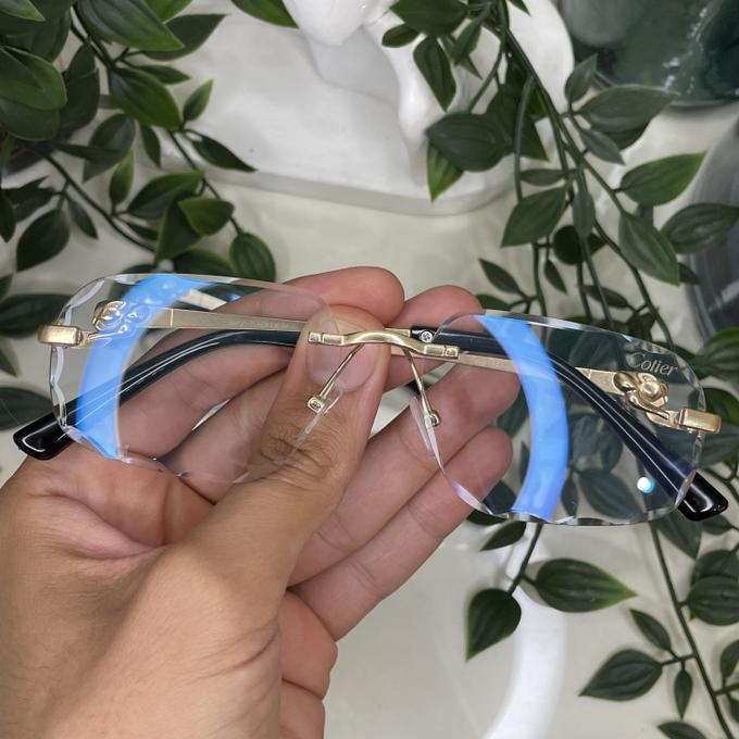 COTIER 4SAISONS UV400