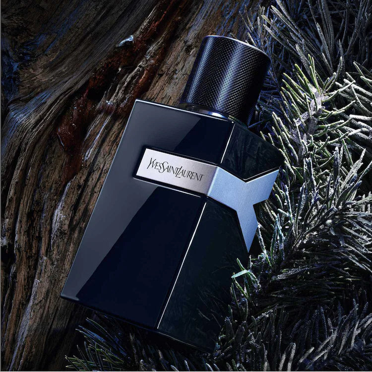 YSL Y LE PARFUM