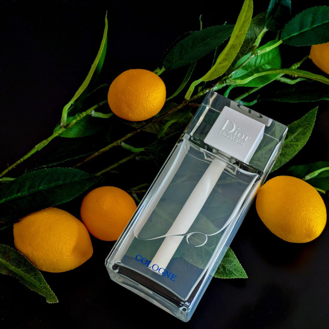 CHRISTIAN DIOR COLOGNE