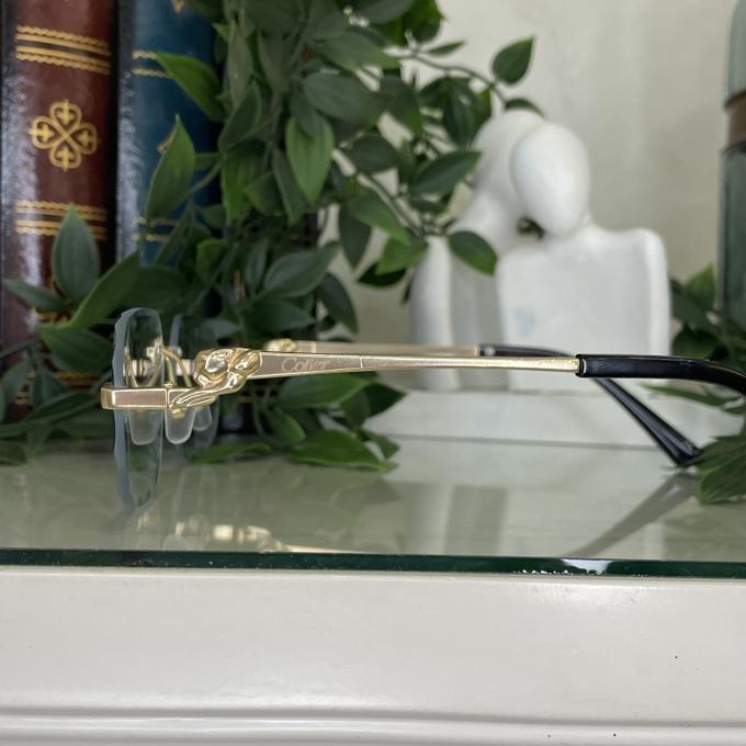 COTIER 4SAISONS UV400